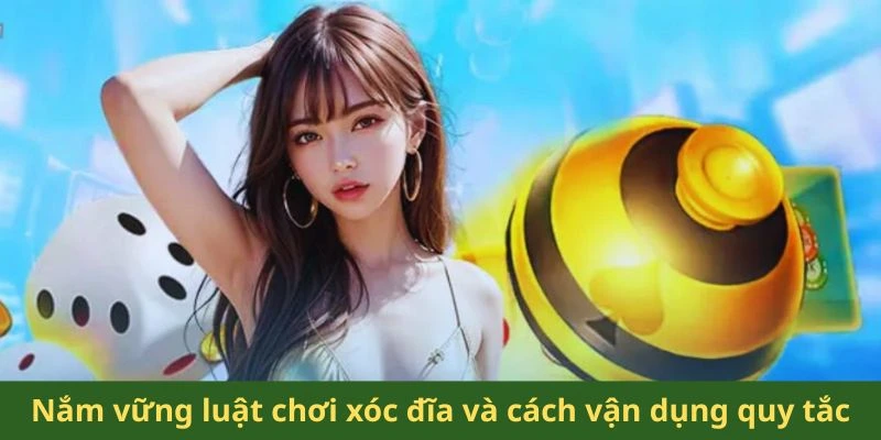 Nắm vững luật chơi xóc đĩa và cách vận dụng quy tắc