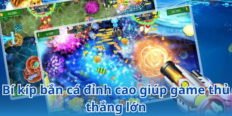 Trang bị cẩm nang săn cá hiệu quả mang đến thắng lớn